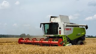 🔥 Jęczmień w GR Borowczyk🔥Żniwa 2024🔥BORMASZ🔥 John Deere Claas🔥 [upl. by Angela]