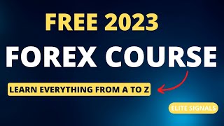 From Beginner to Pro Trader  FREE Forex Course 2023 [upl. by Dierolf303]