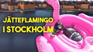 GIGANTISK UPPBLÅSBAR FLAMINGO I STAN [upl. by Sutsuj]