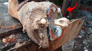 THE SHOCKING TRUTH ABOUT COW HOOF TRIMMING NAILS [upl. by Martin]