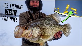 Ice Fishing GIANT Crappies in Shallow Water  TIPS amp TECHNIQUES [upl. by Aioj]