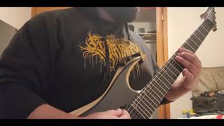 Worm Shepherd Chalice Ov Rebirth Guitar Cover [upl. by Debor]