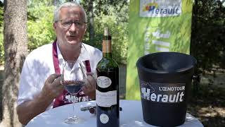 Les vins de lHérault  La Cantilène 2017 [upl. by Aidil]