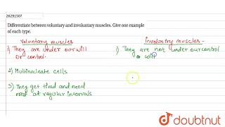 Differentiate between voluntary and involuntary muscles Give one example of each type [upl. by Atarman]