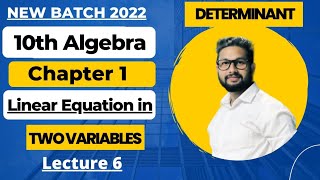 10th Algebra Chapter 1  Linear Equations in Two Variables  Lecture 6 [upl. by Atinrev]