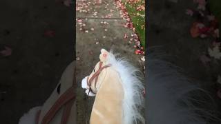 🍂Cantering through the leafs💋 equestrian horse morecontentcoming horseriding fypシ゚viral [upl. by Ademordna]