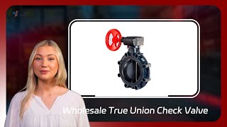 Wholesale True Union Check Valve [upl. by Matta48]