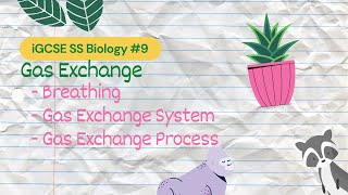 Gas Exchange  iGCSE SS Bio 11 [upl. by Amlez]