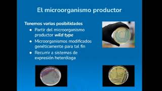 155 El microorganismo [upl. by Ainslee]