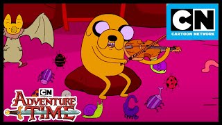 Jake The Dog Wholesome Moments  Adventure Time  Cartoon Network [upl. by Marsland]