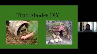 A Toad Abode for Your Yard [upl. by Millwater]