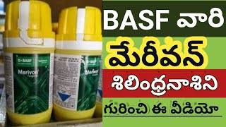 Basf Merivon Fungicide Use in Mirchi  Basf Company Products  Fungicides in Mirchi Farming  Crops [upl. by Ennirok]