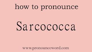 Sarcococca How to pronounce Sarcococca in english correct Start with S Learn from me [upl. by Carry]