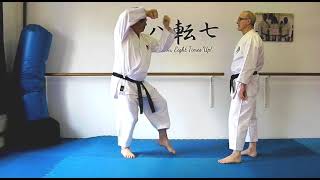 Heian Nidan Bunkai Strategies 2023 week 26 koryu karate oyo jutsu [upl. by Elspet]