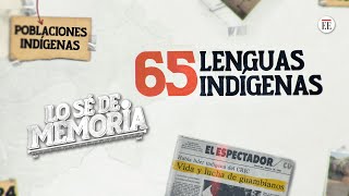 Indígenas en Colombia ¿quiénes son y qué derechos tienen Lo sé de memoria c 10  El Espectador [upl. by Ereveneug]