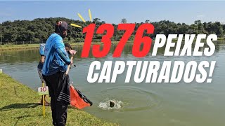 Rally de pesca esportiva  SAIU MAIS DE 7 TONELADAS DE PEIXE  PARTE 1 [upl. by Cerf]