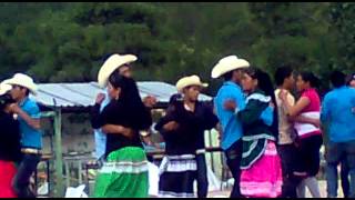 baile en la sierra del Mezquital Dgo [upl. by Alym]