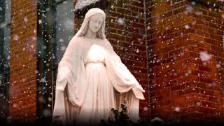 Immaculate Mary w lyrics  Catholic Hymn [upl. by Ainet890]