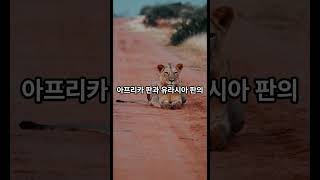 사하라에서 나일강까지 이집트의 지질학적 대여정 이집트지질학 나일강형성 사하라사막 테티스해 지구의역사 [upl. by Annot]