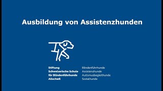 Ausbildung von Assistenzhunden – Ausziehen der Schuhe [upl. by Nike]