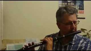 Eamonn Cotter 6key flute demo [upl. by Ibloc27]