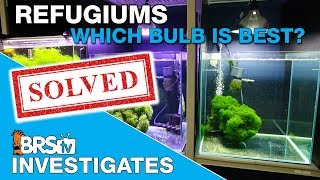 Testing Refugium Part II What really happened and whats next  BRStv Investigates [upl. by Ima]