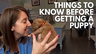 Owning a Dog  Things To Know Before Getting A Puppy [upl. by Sanferd513]