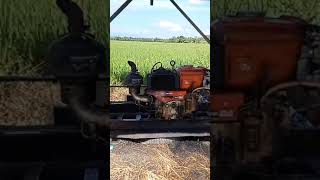 Submersible water pump irrigationpump trending shortvideo shorts short yt youtubeshorts rice [upl. by Ifen]