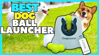 Top 5 Best Automatic Dog Ball Launcher On Amazon In 2023 Interactive Ball Thrower Machine [upl. by Rask]