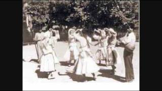 Sârba cu stacatură  Sprightly dance [upl. by Sanyu]