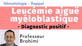 Leucémie Aiguë Myéloblastique Diagnostic positif [upl. by Megargee]