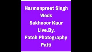 Wedding Ceremony Harmanpreet Singh Weds Sukhnoor Kaur [upl. by Blythe233]