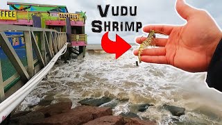 Eating whatever I Catch in Galveston Texas Bridge fishing 61st Pier Catch and cook [upl. by Icyak930]