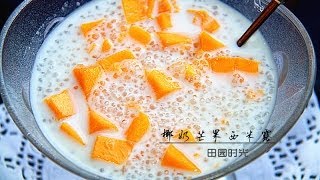 椰奶芒果西米露Mango sago with coconut milk [upl. by Aleinad190]