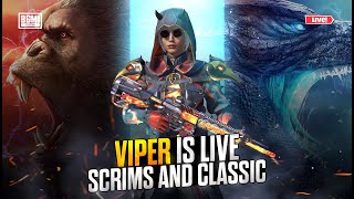 SCRIMS AND CLASSIC LIVE [upl. by Shamrao]