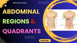 Nine Abdominal Regions and Four Abdominal Quadrants [upl. by Zuzana]