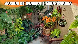 TOUR JARDIM de SOMBRA e MEIASOMBRA com identificação das plantasJardim criativoPlantas de casa [upl. by Yve]