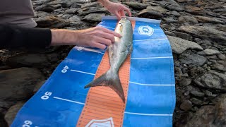 Thank You Hevery Bay Last Fishing Video of the trip EP81 [upl. by Ibob]