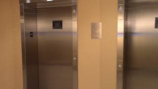 Schindler 330A Hydraulic Elevators  Fairfield Inn amp Suites Cut Off LA [upl. by Ainer748]