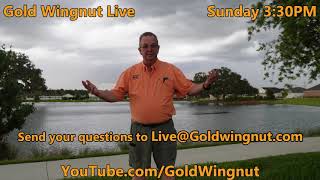 Gold Wingnut Live 24 7212024 at 330 PM [upl. by Trauts781]