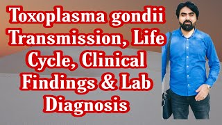 Lec9  Toxoplasma gondii  Life cycle  Transmission  Clinical finding  Lab diagnosis UrduHindi [upl. by Ernesta]