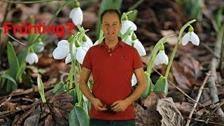 Ist der Frühling schon da Mod Dominik Jung [upl. by Eiclud]