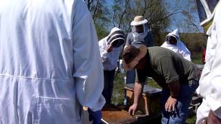 Beekeeping Basics and SplitsSwarm Meeting [upl. by Ted]