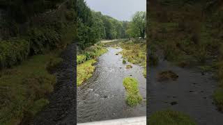 Angenehm plätschernde Vereinigte Weißeritz Freital Sachsen  Pleasantly rippling river Saxony [upl. by Sinegra]