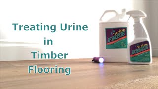 urineFREE Removing Urine in Timber Flooring [upl. by Oicinoid5]