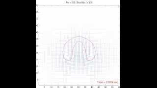 CFD simulation of multiphase flow problem [upl. by Aicilaana151]