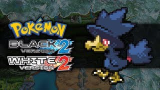 Pokemon Black 2 and White 2  How To Get Murkrow [upl. by Akirderf]