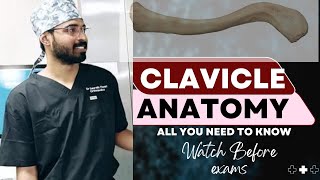 CLAVICLE ANATOMY  All you need to know  Watch before viva anatomy mbbs neet trending [upl. by Martha338]