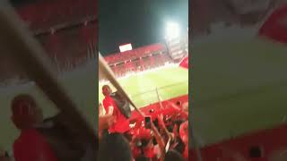 Gol y festejo Independiente vs Godoy cruz 2024 [upl. by Lingwood550]