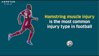 Evidence on hamstring injury mechanism describing injury situation [upl. by Beaudoin525]